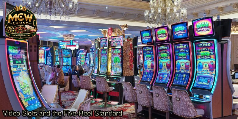Video-Slots-and-the-Five-Reel-Standard.
